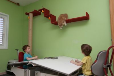 דגם המבורגר ברוס דיזיין