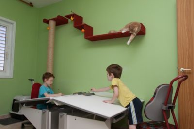 דגם המבורגר ברוס
